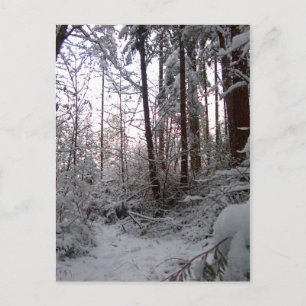 WINTER SNÖ SCENE by SHARON SHARPE Vykort
