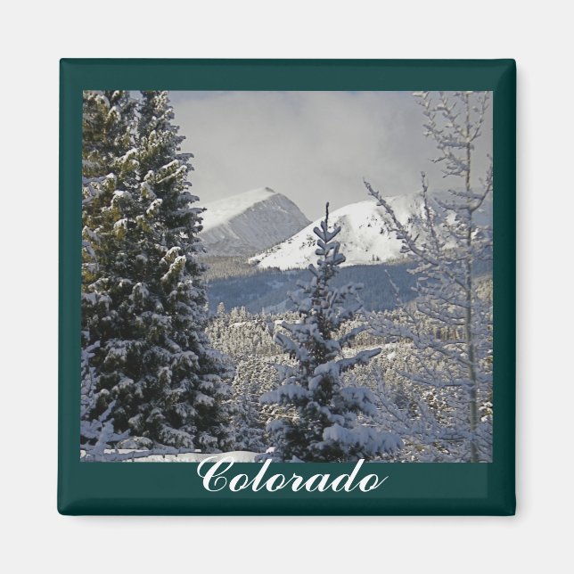 Winter Snö Scene,Colorado Magnet (Framsidan)