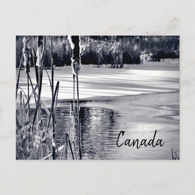 Winter Snö Shadows Black White Kanada Souvenir Vykort (Framsida)