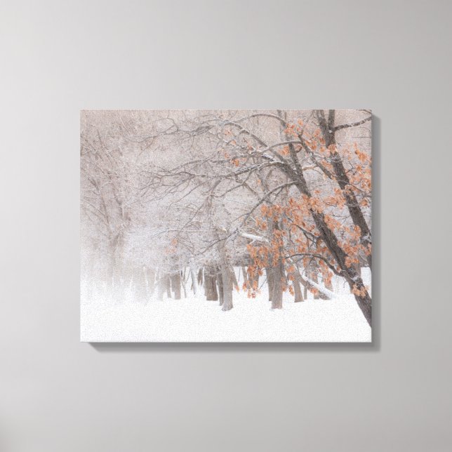 Winter Snö | Sjö Kussharo Canvastryck (Framsida)