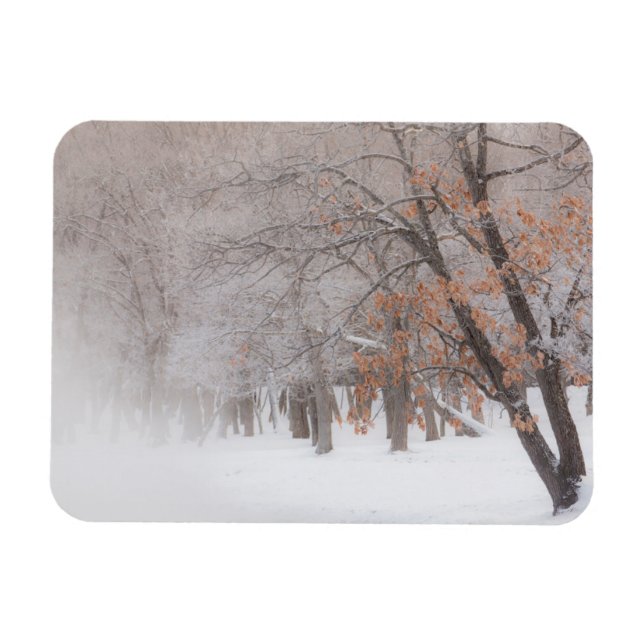 Winter Snö | Sjö Kussharo Magnet (Horisontell)