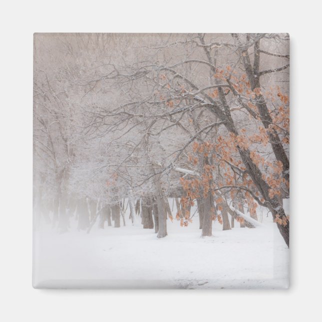 Winter Snö | Sjö Kussharo Magnet (Framsidan)