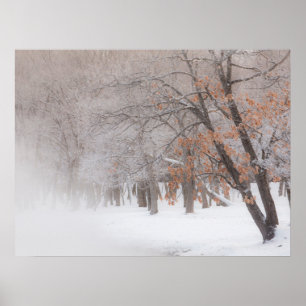 Winter Snö Sjö Kussharo Poster