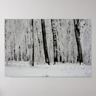 Winter Snö Träd - - Poster