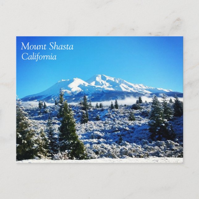Winter Snö vid Mount Shasta, CA Vykort (Framsida)