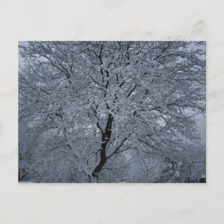 Winter Snö vid Träd Vykort