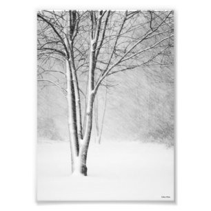 Winter Snöstorm Snowy Träd White-Out-Abstrakten Fototryck