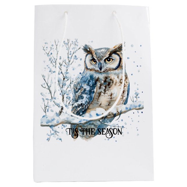 Winter Snowflakes Blue Owl Christmas Snow (Framsidan)