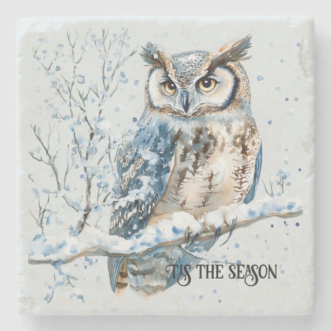 Winter Snowflakes Blue Owl Christmas Snow Stenunderlägg (Framsidan)