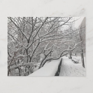 Winter Snowstorm Riverside Park Träd New York NYC Vykort