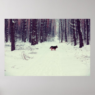 Winter snowy gräs-skogen, hund i skogen poster
