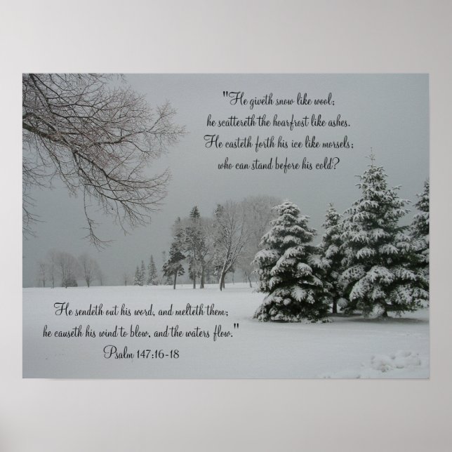 Winter Snowy Ligcape-Scripture-citat Poster (Framsidan)
