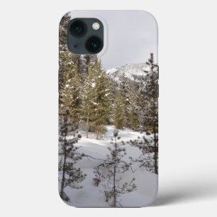 Winter Snowy Mountain Scene i Montana