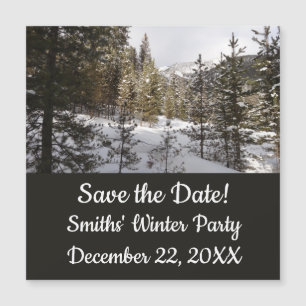 Winter Snowy Mountain Scene i Montana