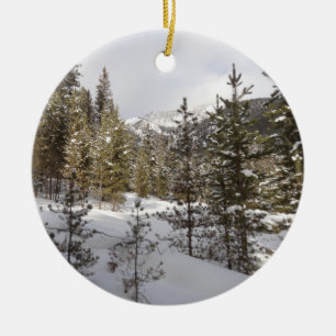 Winter Snowy Mountain Scene i Montana Julgransprydnad Keramik
