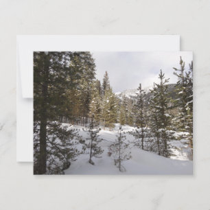 Winter Snowy Mountain Scene i Montana Julkort