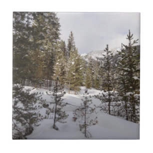 Winter Snowy Mountain Scene i Montana Kakelplatta