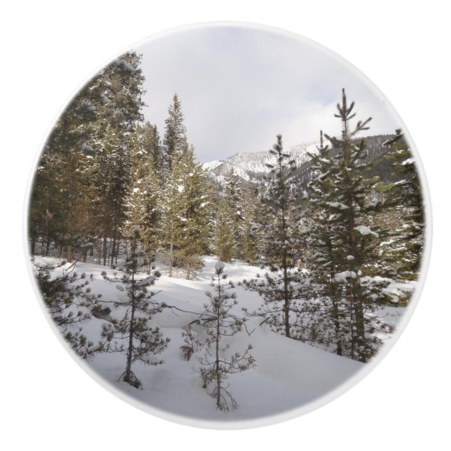 Winter Snowy Mountain Scene i Montana Knopp (Framsidan)