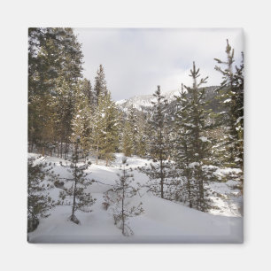 Winter Snowy Mountain Scene i Montana Magnet