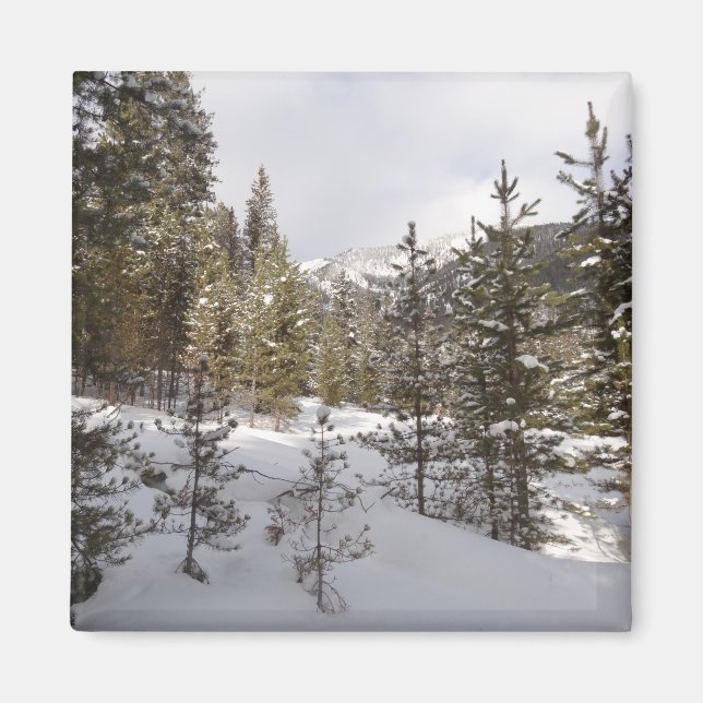 Winter Snowy Mountain Scene i Montana Magnet (Framsidan)