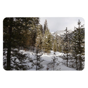 Winter Snowy Mountain Scene i Montana Magnet