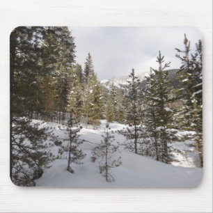 Winter Snowy Mountain Scene i Montana Musmatta