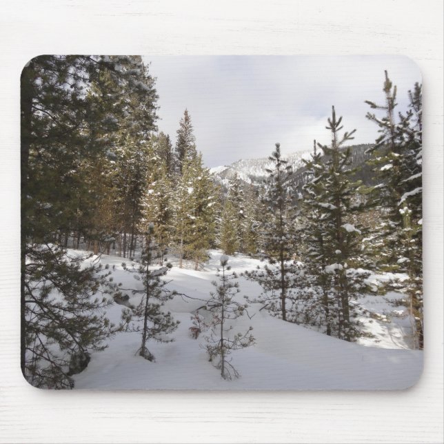 Winter Snowy Mountain Scene i Montana Musmatta (Framsidan)