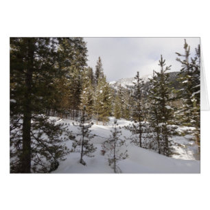 Winter Snowy Mountain Scene i Montana OBS Kort