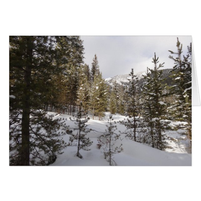 Winter Snowy Mountain Scene i Montana OBS Kort (Framsidan Horizontal)