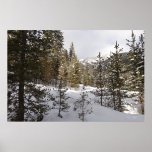 Winter Snowy Mountain Scene i Montana Poster