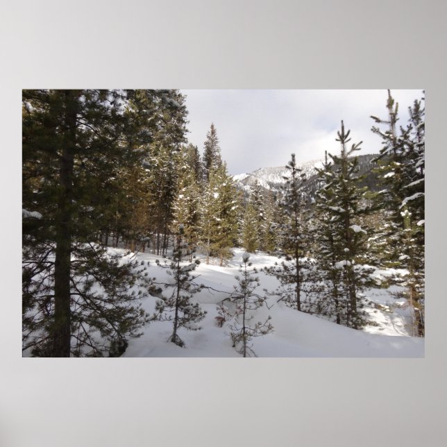 Winter Snowy Mountain Scene i Montana Poster (Framsidan)
