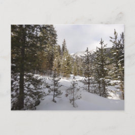 Winter Snowy Mountain Scene i Montana Vykort