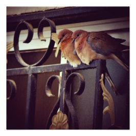 Winter Snuggles Fototryck