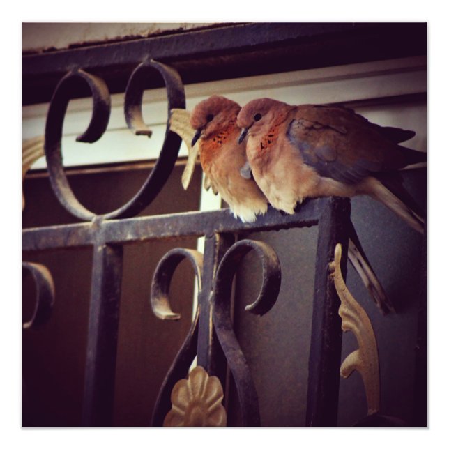 Winter Snuggles Fototryck (Framsidan)