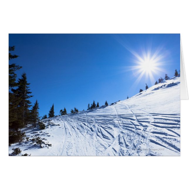 Winter sol 4 hälsningskort (Framsidan Horizontal)