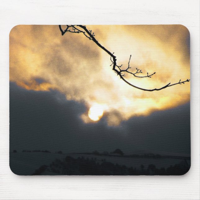 Winter Sol Musmatta (Framsidan)