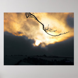 Winter Sol Poster