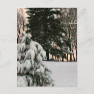 Winter Sol Vykort