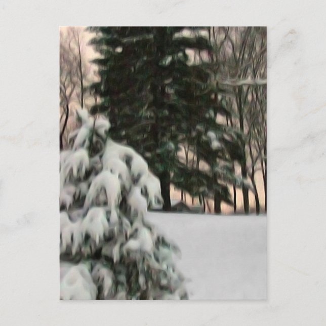 Winter Sol Vykort (Framsida)
