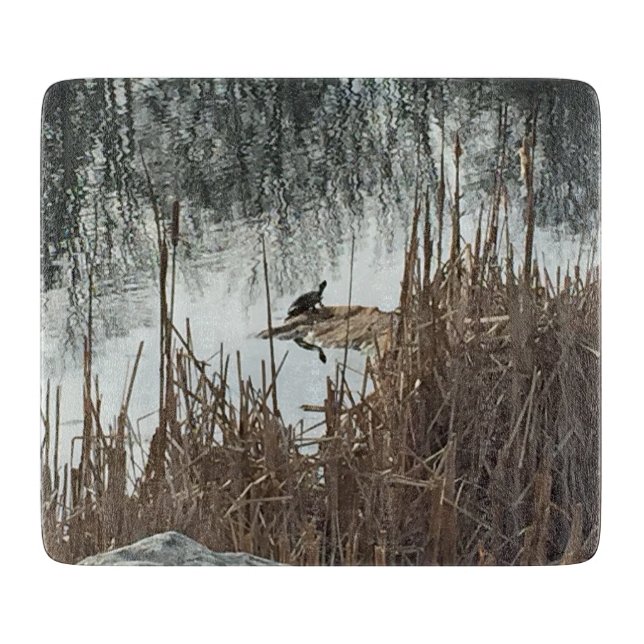 Winter Solstice (Framsidan)