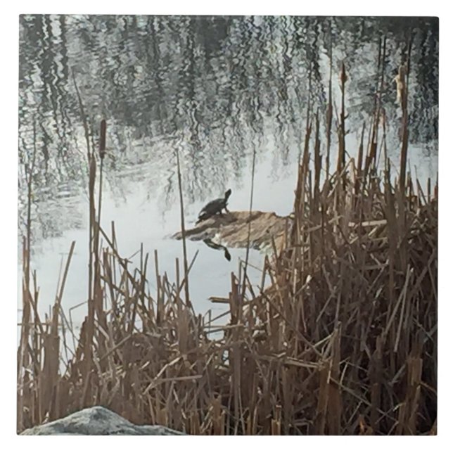 Winter Solstice Kakelplatta (Framsidan)