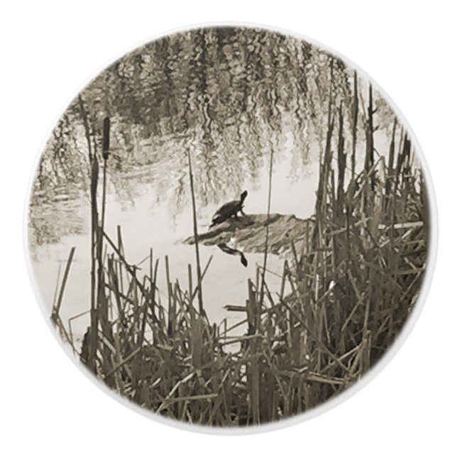 Winter Solstice Knopp (Framsidan)