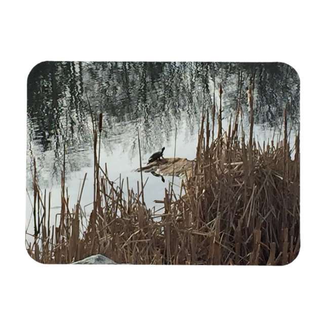 Winter Solstice Magnet (Horisontell)