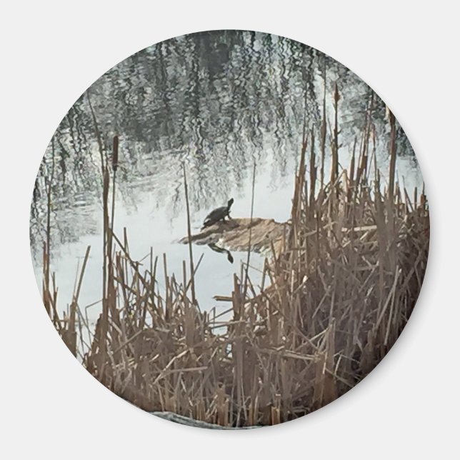 Winter Solstice Magnet (Framsidan)