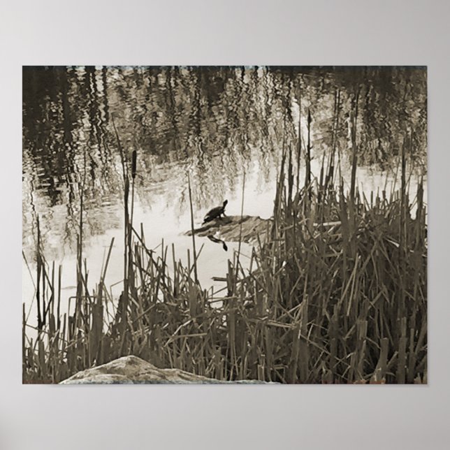 Winter Solstice Poster (Framsidan)