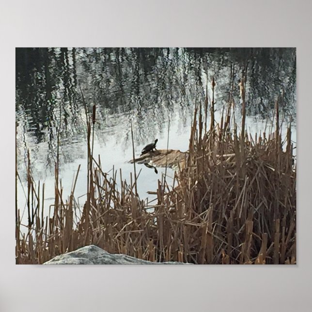 Winter Solstice Poster (Framsidan)