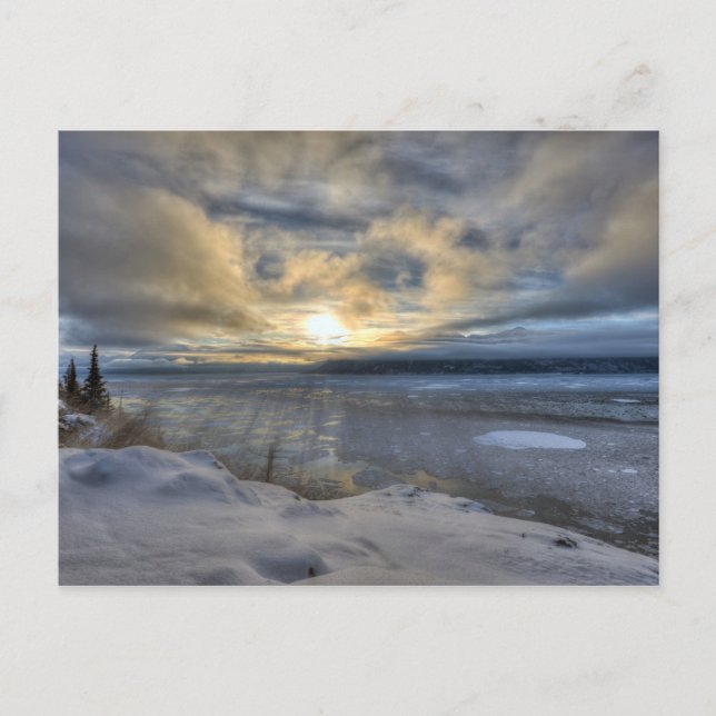 Winter Solstice Turnonce Arm Vykort (Framsida)