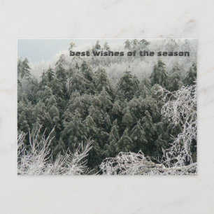 Winter Solstice Vykort