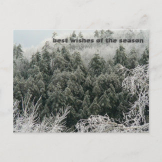Winter Solstice Vykort