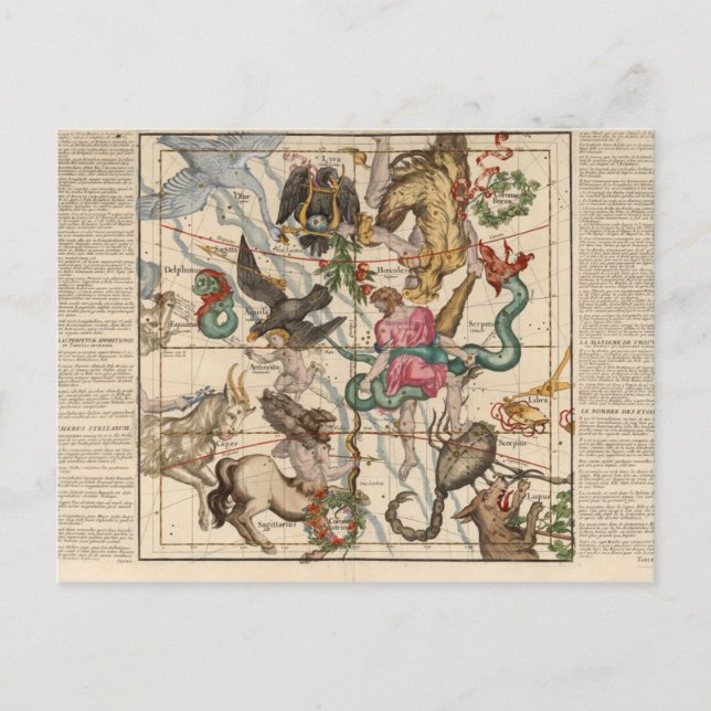 Winter Solstice Vykort (Framsida)